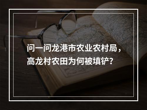 问一问龙港市农业农村局，高龙村农田为何被填铲？