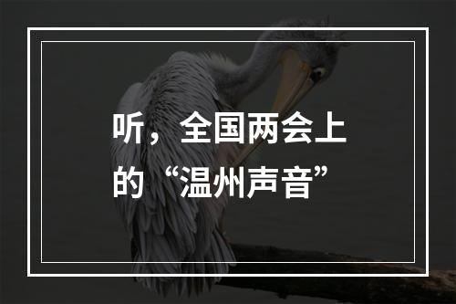 听，全国两会上的“温州声音”