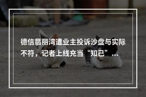德信翡丽湾遭业主投诉沙盘与实际不符，记者上线充当“知己”！结果……