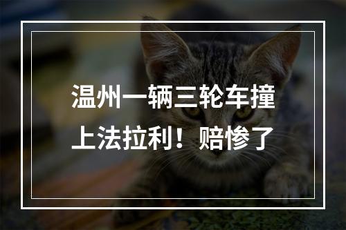 温州一辆三轮车撞上法拉利！赔惨了
