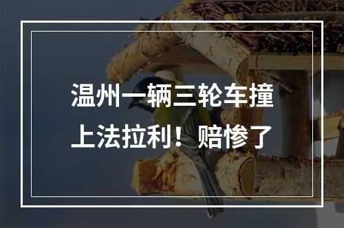 温州一辆三轮车撞上法拉利！赔惨了