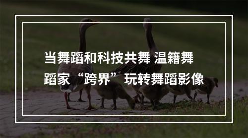 当舞蹈和科技共舞 温籍舞蹈家“跨界”玩转舞蹈影像