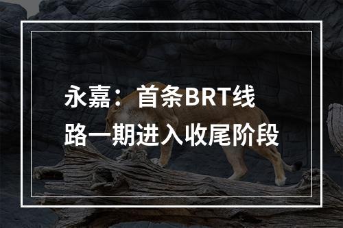 永嘉：首条BRT线路一期进入收尾阶段