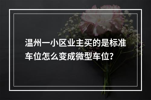 温州一小区业主买的是标准车位怎么变成微型车位？