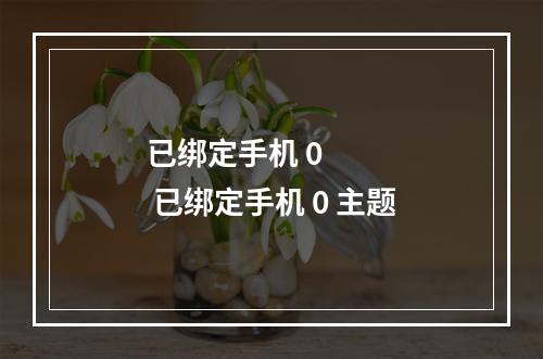 已绑定手机 0      已绑定手机 0 主题