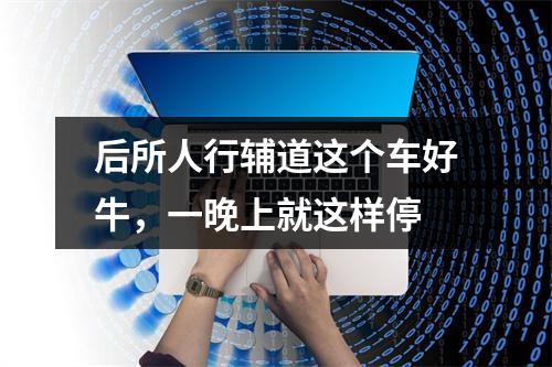 后所人行辅道这个车好牛，一晚上就这样停
