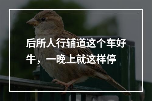 后所人行辅道这个车好牛，一晚上就这样停