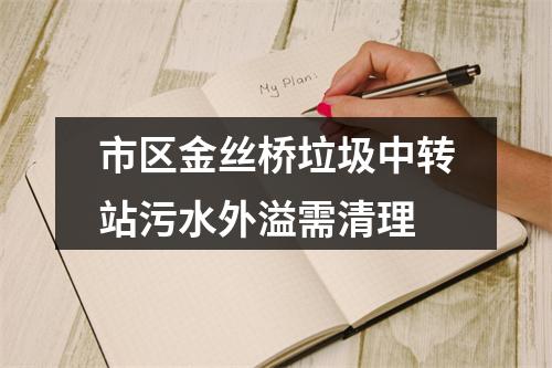 市区金丝桥垃圾中转站污水外溢需清理