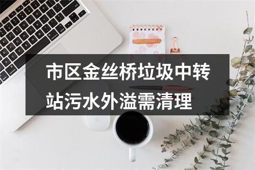 市区金丝桥垃圾中转站污水外溢需清理