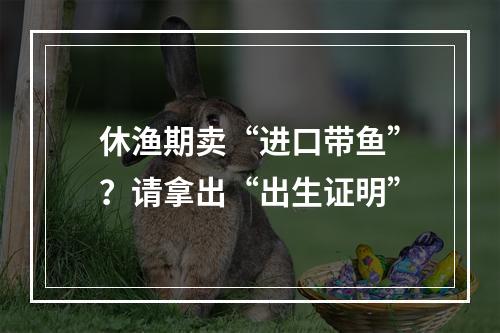 休渔期卖“进口带鱼”？请拿出“出生证明”