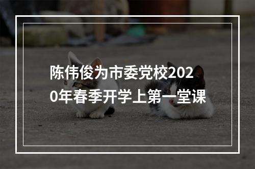 陈伟俊为市委党校2020年春季开学上第一堂课
