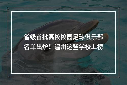 省级首批高校校园足球俱乐部名单出炉！温州这些学校上榜