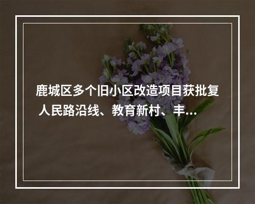 鹿城区多个旧小区改造项目获批复 人民路沿线、教育新村、丰泰小区等先受益