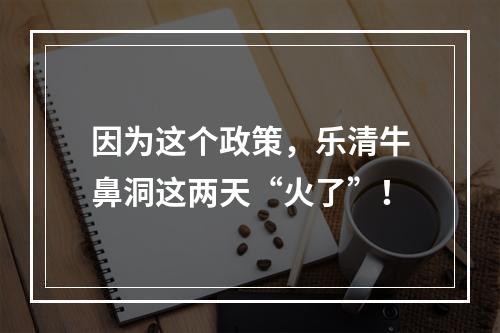 因为这个政策，乐清牛鼻洞这两天“火了”！