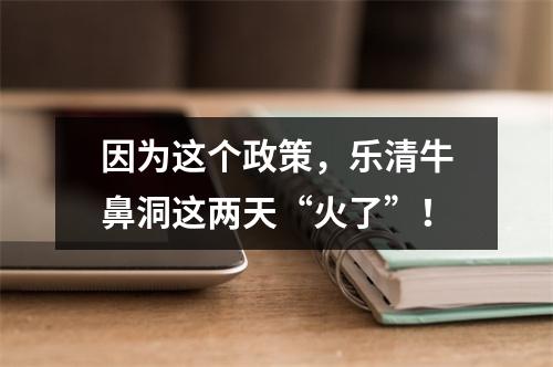 因为这个政策，乐清牛鼻洞这两天“火了”！