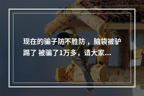 现在的骗子防不胜防 ，脑袋被驴踢了 被骗了1万多，请大家千万不要相信这些借着刷单