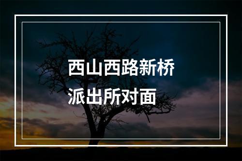 西山西路新桥派出所对面