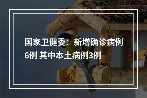 国家卫健委：新增确诊病例6例 其中本土病例3例