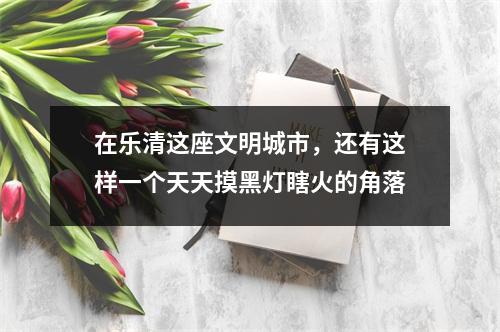 在乐清这座文明城市，还有这样一个天天摸黑灯瞎火的角落