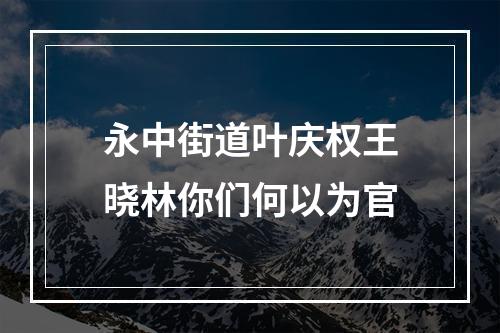 永中街道叶庆权王晓林你们何以为官