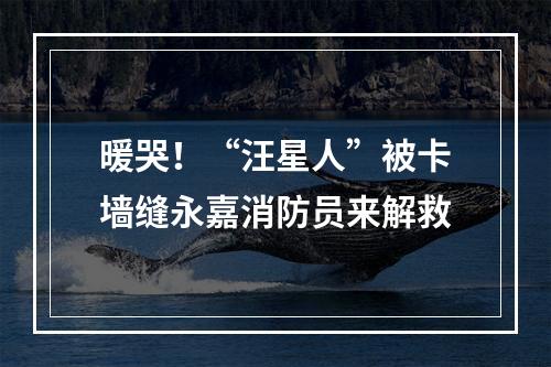 暖哭！“汪星人”被卡墙缝永嘉消防员来解救