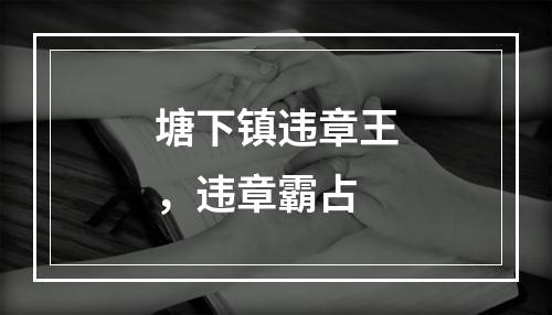 塘下镇违章王，违章霸占
