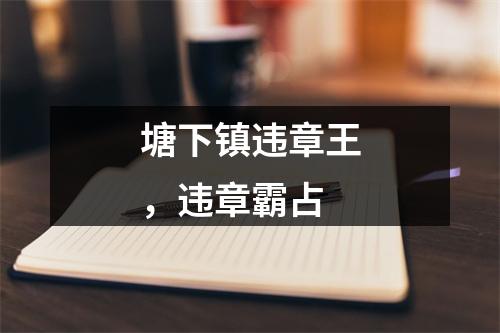 塘下镇违章王，违章霸占