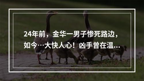 24年前，金华一男子惨死路边，如今…大快人心！凶手曾在温州待过十天