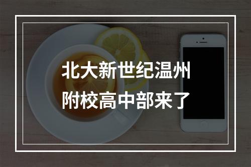 北大新世纪温州附校高中部来了