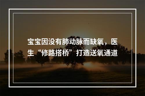 宝宝因没有肺动脉而缺氧，医生“修路搭桥”打造送氧通道