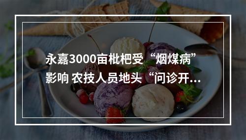 永嘉3000亩枇杷受“烟煤病”影响 农技人员地头“问诊开方”