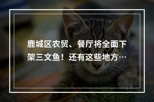 鹿城区农贸、餐厅将全面下架三文鱼！还有这些地方…