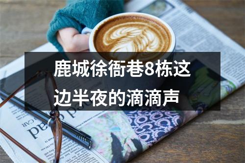 鹿城徐衙巷8栋这边半夜的滴滴声