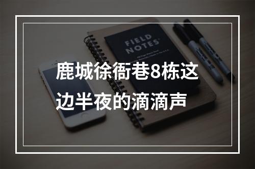 鹿城徐衙巷8栋这边半夜的滴滴声