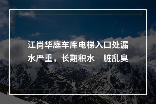 江尚华庭车库电梯入口处漏水严重，长期积水　脏乱臭