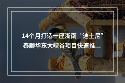 14个月打造一座浙南“迪士尼” 泰顺华东大峡谷项目快速推进