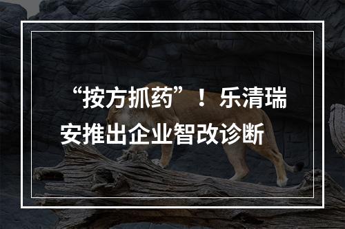 “按方抓药”！乐清瑞安推出企业智改诊断