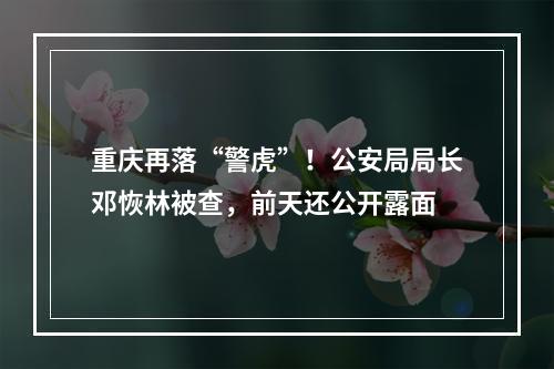 重庆再落“警虎”！公安局局长邓恢林被查，前天还公开露面