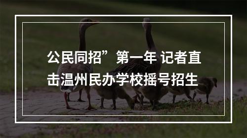 公民同招”第一年 记者直击温州民办学校摇号招生