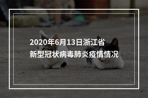 2020年6月13日浙江省新型冠状病毒肺炎疫情情况