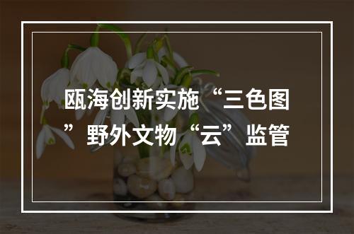 瓯海创新实施“三色图”野外文物“云”监管