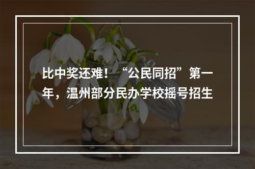比中奖还难！“公民同招”第一年，温州部分民办学校摇号招生