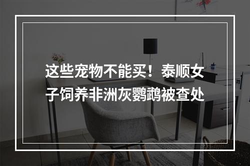 这些宠物不能买！泰顺女子饲养非洲灰鹦鹉被查处