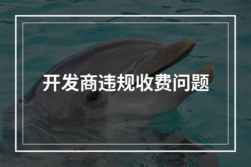 开发商违规收费问题