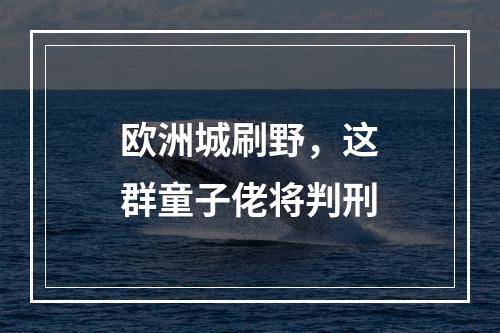 欧洲城刷野，这群童子佬将判刑