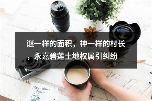 谜一样的面积，神一样的村长，永嘉碧莲土地权属引纠纷