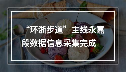 “环浙步道”主线永嘉段数据信息采集完成