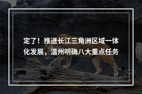 定了！推进长江三角洲区域一体化发展，温州明确八大重点任务
