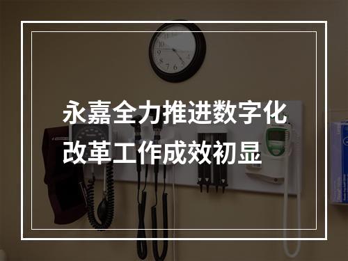 永嘉全力推进数字化改革工作成效初显