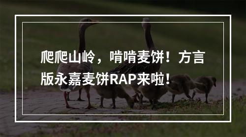 爬爬山岭，啃啃麦饼！方言版永嘉麦饼RAP来啦！